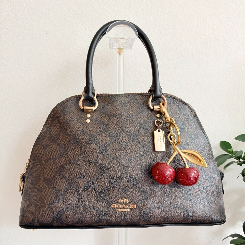 Coach Katy Dome Satchel Crossbody Bag 2558 Brown Black Signature Canvas